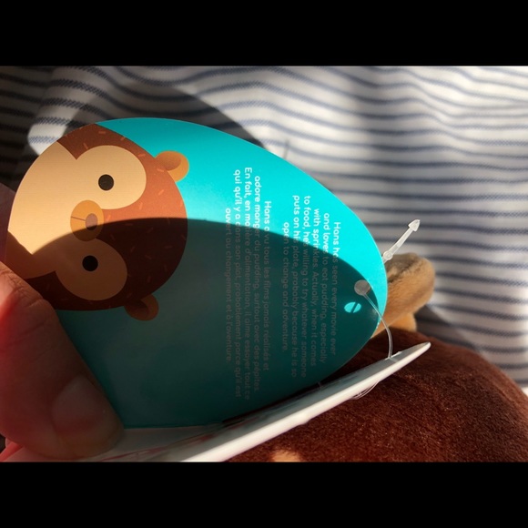 Hans is a hedgehog with a brown body. 7-8 inch - Picture 7 of 8